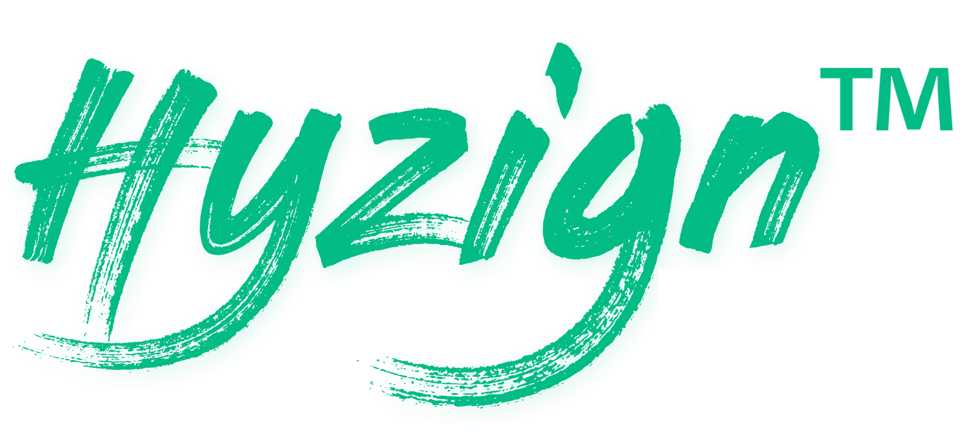 Hyzign Logo